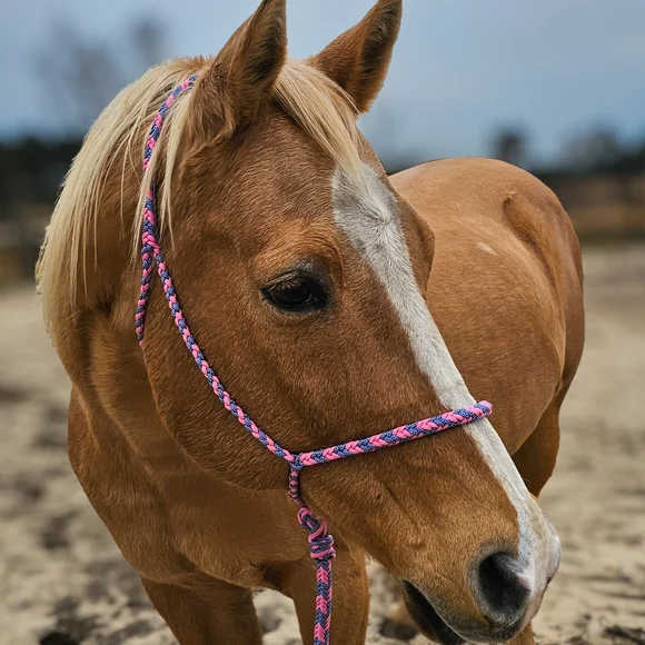 Pink and Blue Braided Rope - Picture 2 of 6